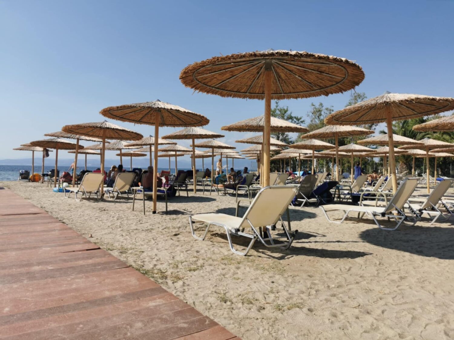 Ψάθινες ομπρέλες για beach bar και ξενοδοχεία