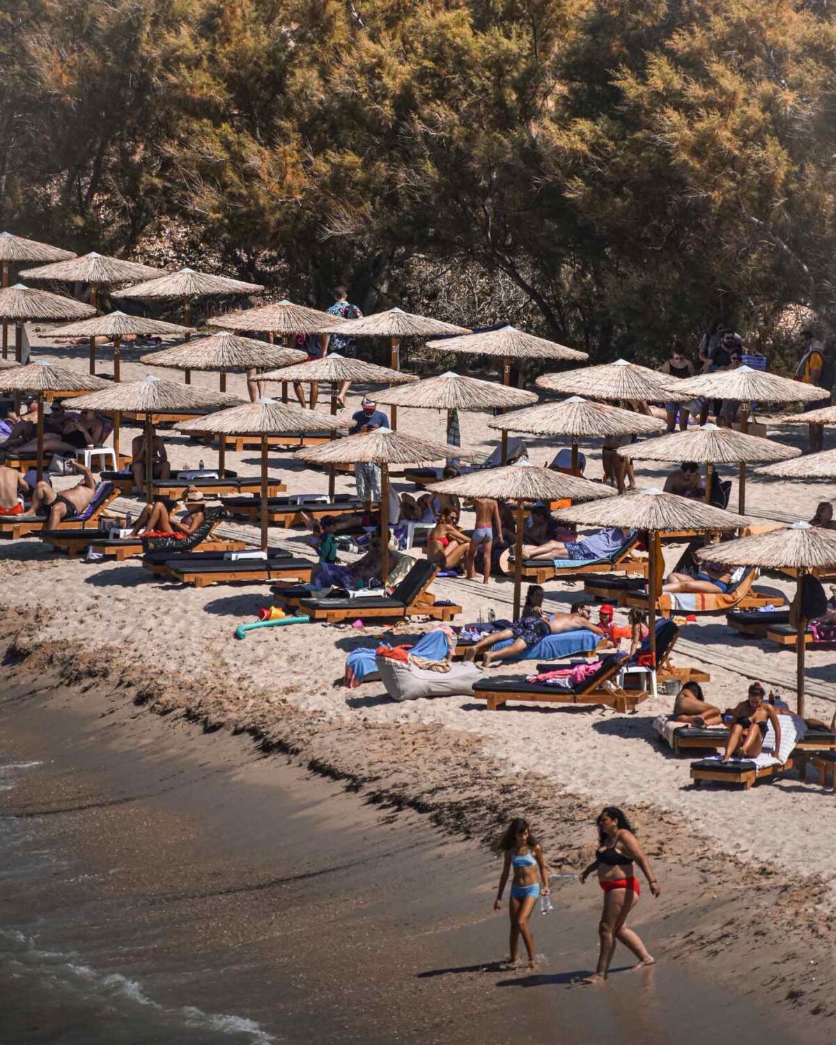 Ξύλινες ξαπλώστρες για beach bar και ξενοδοχεία