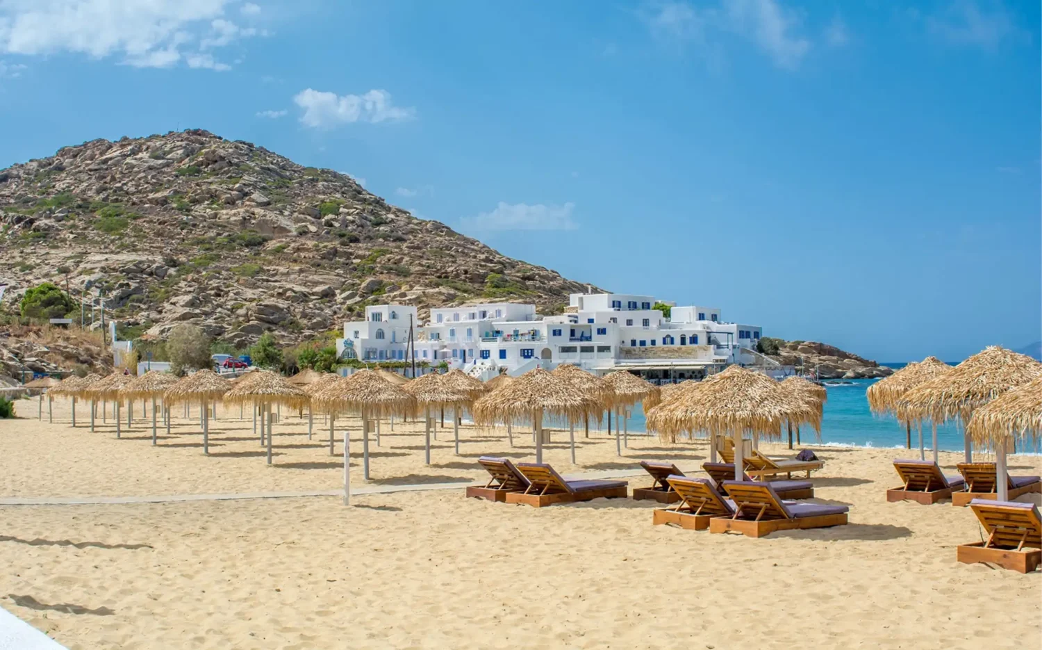 Ψάθινη Ομπρέλα beach bar palm tree φοινικας