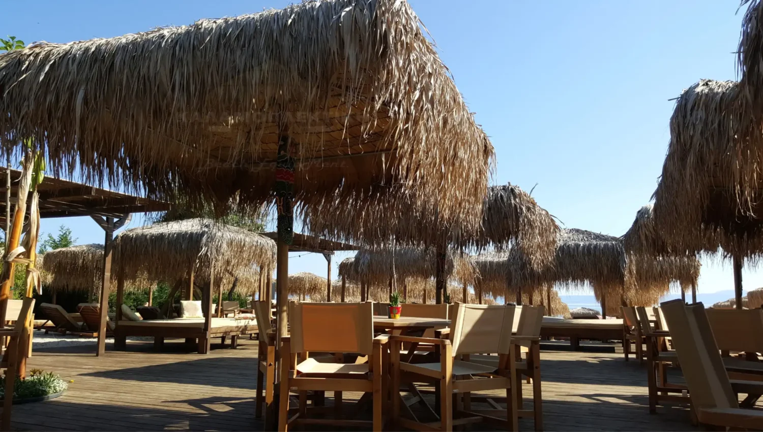 Ψάθινη Ομπρέλα beach bar palm tree φοινικας