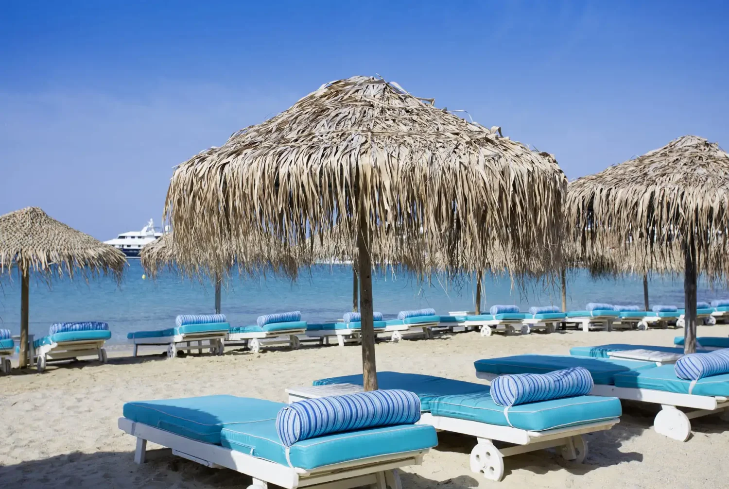 Ψάθινη Ομπρέλα beach bar palm tree φοινικας