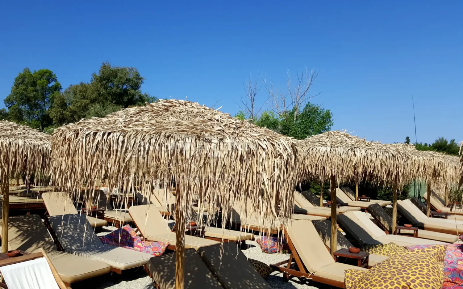 Ψάθινη Ομπρέλα beach bar palm tree φοινικας