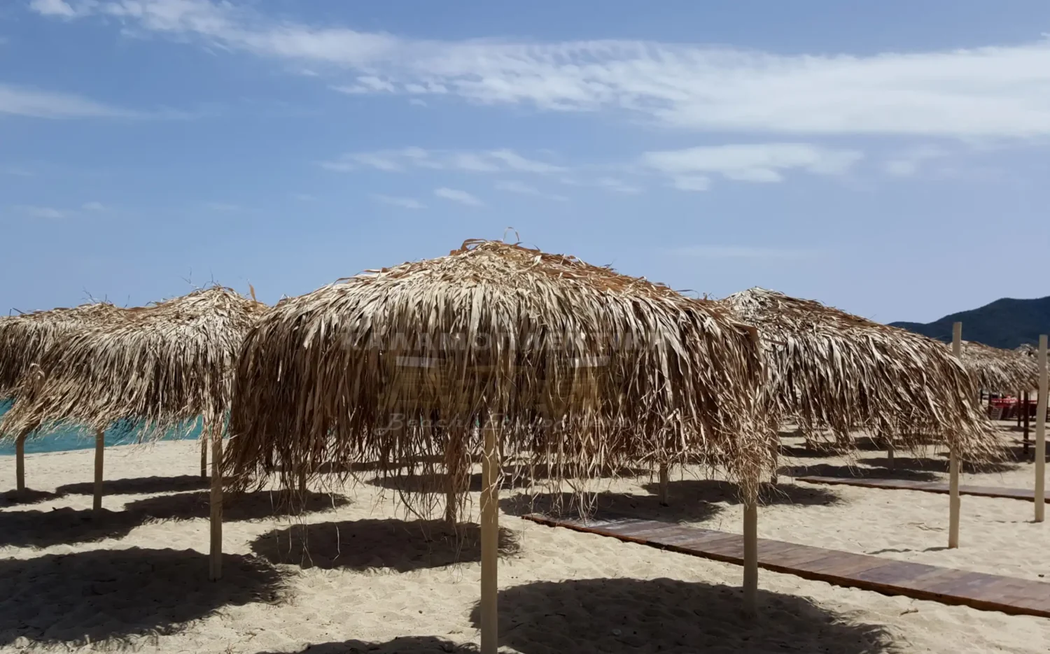 Ψάθινη Ομπρέλα beach bar palm tree φοινικας